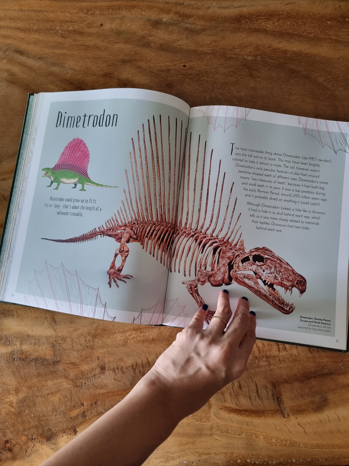 Dinosaurs and Other Prehistoric Life