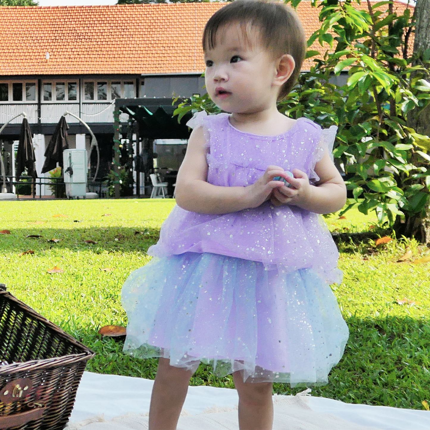anak and i aurora purple blue ombre baby and toddler girl tulle mesh dress with ruffles sleeves